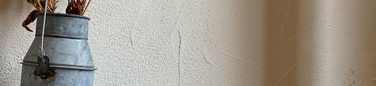 しっくい壁との違い - 珪藻土の壁材「エコ・クィーン」