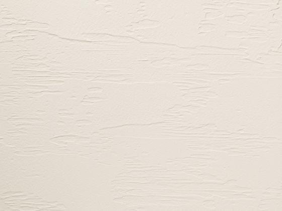 内壁材（粉末タイプ）仕上がり例 - 珪藻土の壁材「エコ・クィーン」