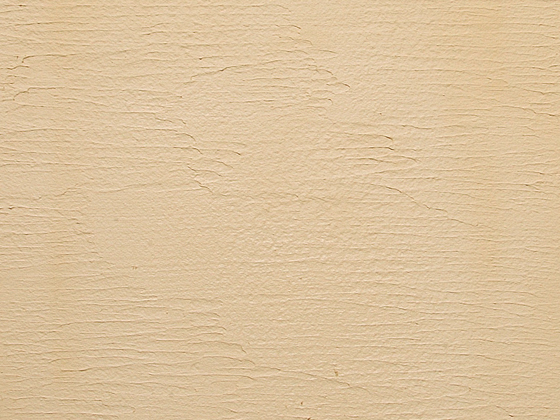 内壁材（粉末タイプ）仕上がり例 - 珪藻土の壁材「エコ・クィーン」